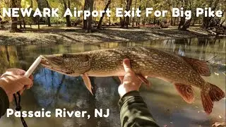 Take the Newark Airport Exit for Northern Pike Fishing