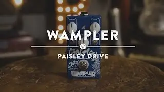 Wampler Paisley Drive | Reverb Demo Video