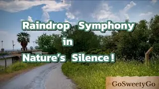 Raindrop Symphony in Nature&rsquo;s Silence ! 
