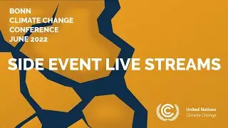 Nature-based Solutions to Climate Change: Unpacking the Potential and Pitfalls