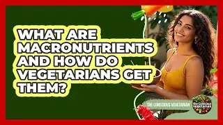 What Are Macronutrients And How Do Vegetarians Get Them? - The Conscious Vegetarian