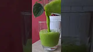 Mengolah Daun Kale menjadi Jus Sehat