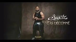 Says'z - T'AS D&Eacute;CONN&Eacute; (Vid&eacute;o Lyrics)