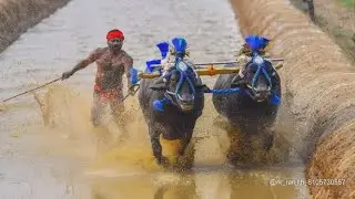 ಬೆಂಗಳೂರು ಕಂಬಳ😍 || Rakshith Sheety sir @ Bangalore Kambala💫 #kambala#tulunadu