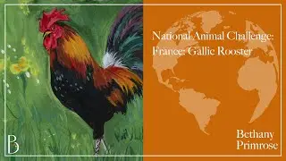 Scott Sava's National Animal Challenge - French Gallic Rooster (Timelapse)