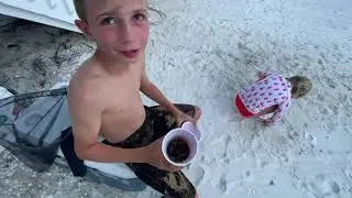 Boca Grande Shark Attack
