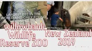 Willowbank Wildlife Reserve Zoo New Zealand 2019