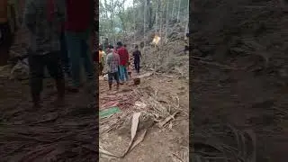 Aking Nokma bimung gatemingna wak doke halenga.