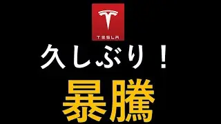 テスラ株　久しぶりの暴騰！何があったのか？CPI,PPI詳細分析