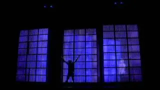 TEDxNewEngland | 11/01/11 | Mozart & Me - A Radical New Model of Interskill Collaboration