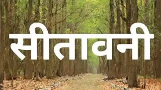 VALMIKI TIRTH SITAVANI NEW 2018 | BHIM ANARYA