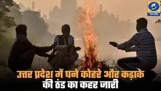 🔴उत्तर प्रदेश में कोहरे और कड़ाके की ठंड का कहर जारी! - Hindi News 10 AM