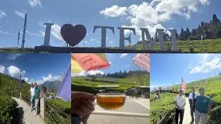 Temitarku is popular for its high-quality organic tea.☕️