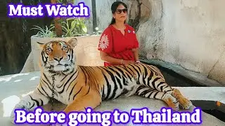 Our Thailand Trip Experience Sharing With You | Day 1 | Tiger Topia show | Crocodile Show |#thailand