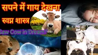 Seeing a cow in a dream | Dream meaning saw mother cow in dream🙏🏻
