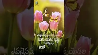 ఎవడైనను క్రీస్తునందున్నయెడల వాడు నూతన సృష్టి; పాతవి గతించెను, ఇదిగో క్రొత్త వాయెను;