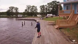 D&rsquo;Arbonne Pointe