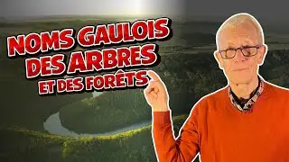 NOMS GAULOIS DES FORÊTS ET DES BOIS