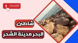 جمال شواطئ الشحر في حضرموت: واحة ساحرة للسياحة البحرية والاسترخاء