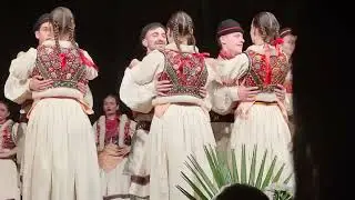 HKGD ,DUNAV