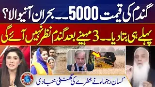 Shocking News!! Wheat Crises In Pakistan | Wheat Price Hike | Kisan Card | Suno Round Up | EP 169
