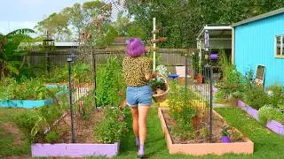 My Honest Garden Reset After Things Fell Apart