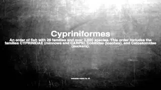 Medical vocabulary: What does Cypriniformes mean
