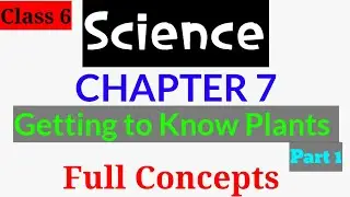 Getting to know plants | Part 1 | Class 6 | Science | Chapter 7 |