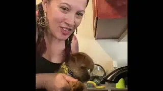 Social Time with Mrs. Garcia & Odin