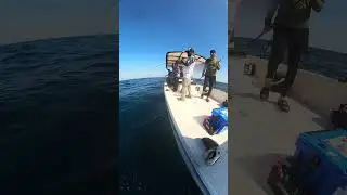 First Deep Sea Fishing Game 2025 winter season AmberJack caught #fishing #jigging #popping #reels