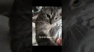 Mr Chunkster is always hungry 🤤