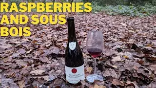 Nicole Lamarche Bourgogne Hautes Cotes de Nuits 2020