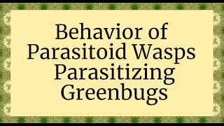 2 Species of Parasitoids on Greenbugs