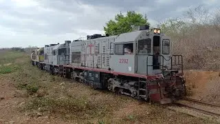 LA VAI O TREM DA TRANSNORDESTINA | COM TRIPLEX DE GE U10B NO COMANDO  | TREM CARREGADO