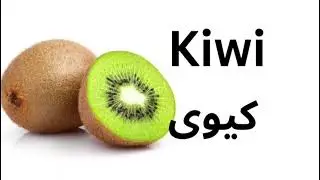 2nd Class science words meaning learnwithECS 