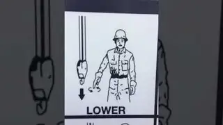 Cranes are Racist || ViralHog