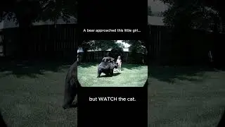 Hero Cat SAVES Girl From Black Bear in Backyard