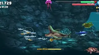 Protecting the Baby Shark as an XL Predator!