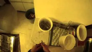 Adventures of Dynomite, the broken dish