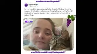 Бывший полицейский из Стоутона Мэтью Фарвелл обвиняется в смерти беременной Сандры Бирчмор и неро...