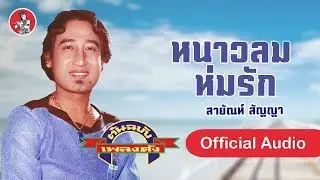 หนาวลมห่มรัก - สายัณห์ สัญญา  [Official Audio]