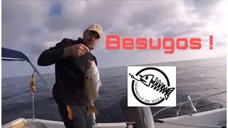 Pesca recreativa del besugo. VERMELLS DE ROCA
