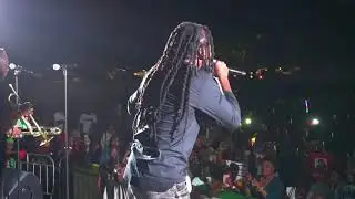 Samini Live Performances @ Chicago Ghana Fest 2019