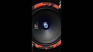 Отличное качество звучание с уникальной LED-подсветкой логотипа на Gryphon Pro 165 SE #dlaudio