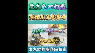 生态缸的打造原理是什么？ #乌龟 #宠物龟 #养龟日常 #生态缸 #龟龟🐢  #龟宠时代