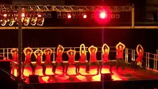 alpha mu chapter of delta sigma theta | nc a&t aggiefest step show 04/16/2009