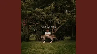 Magnolia Tree