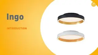 Ingo | INTRODUCTION