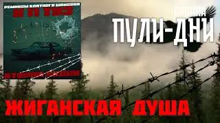 Группа Пули Дни - Жиганская душа  (блат ремикс)