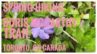 Doris McCarthy Trail in Toronto, ON Canada-Spring Hiking, 봄나들이